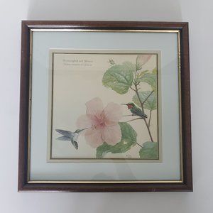 Matted & Wood Framed Wall Art Print Hummingbird Hibiscus Flower Gallery Wall